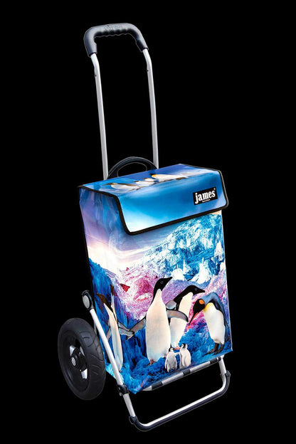 Pinguin-James®
