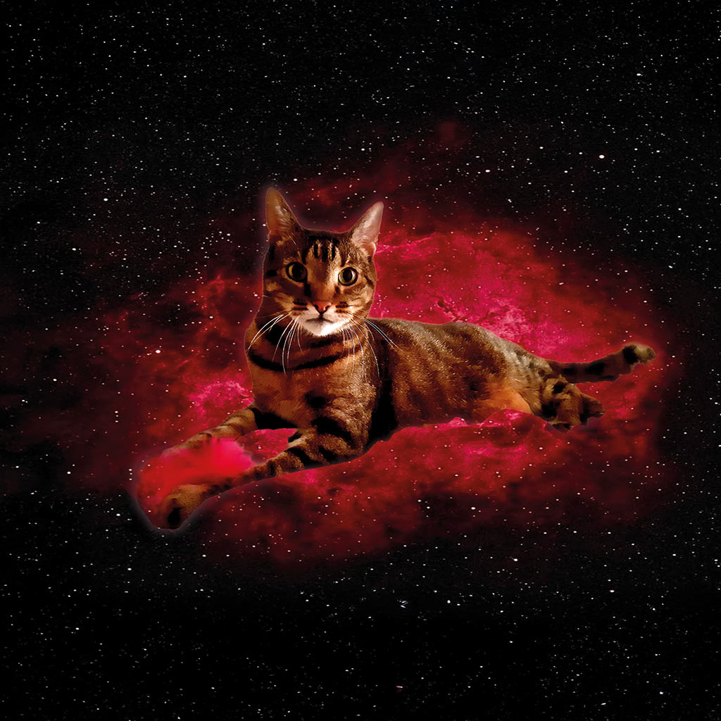 Sombali - Prinz von Mus-Cat