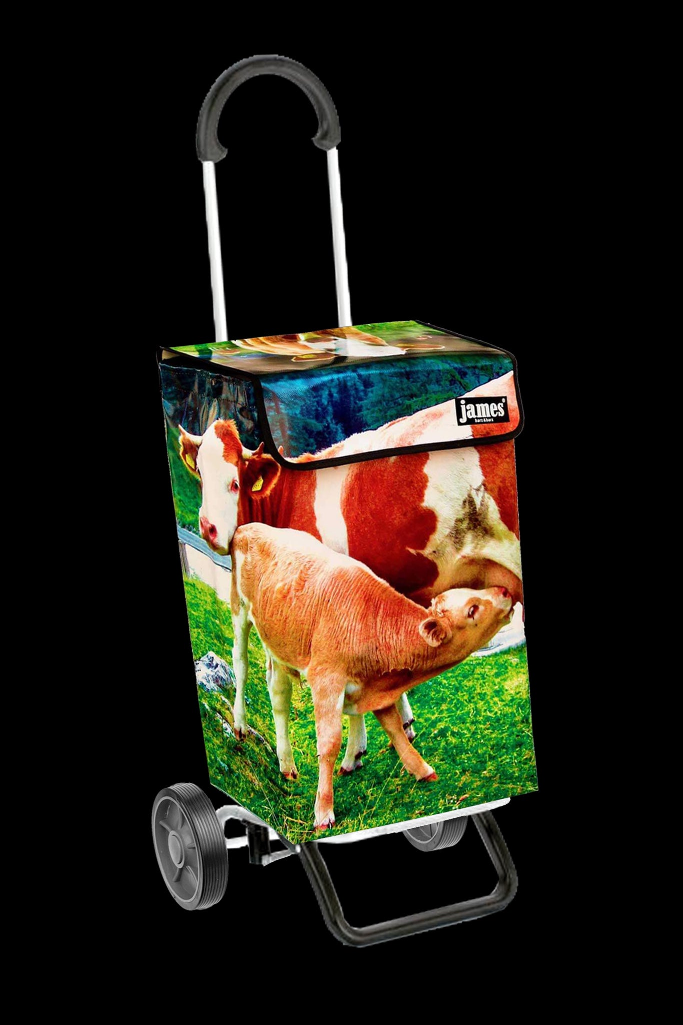 Mukuli-James Classic Outlet