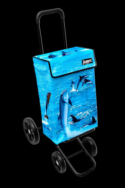 Dolphin-James®