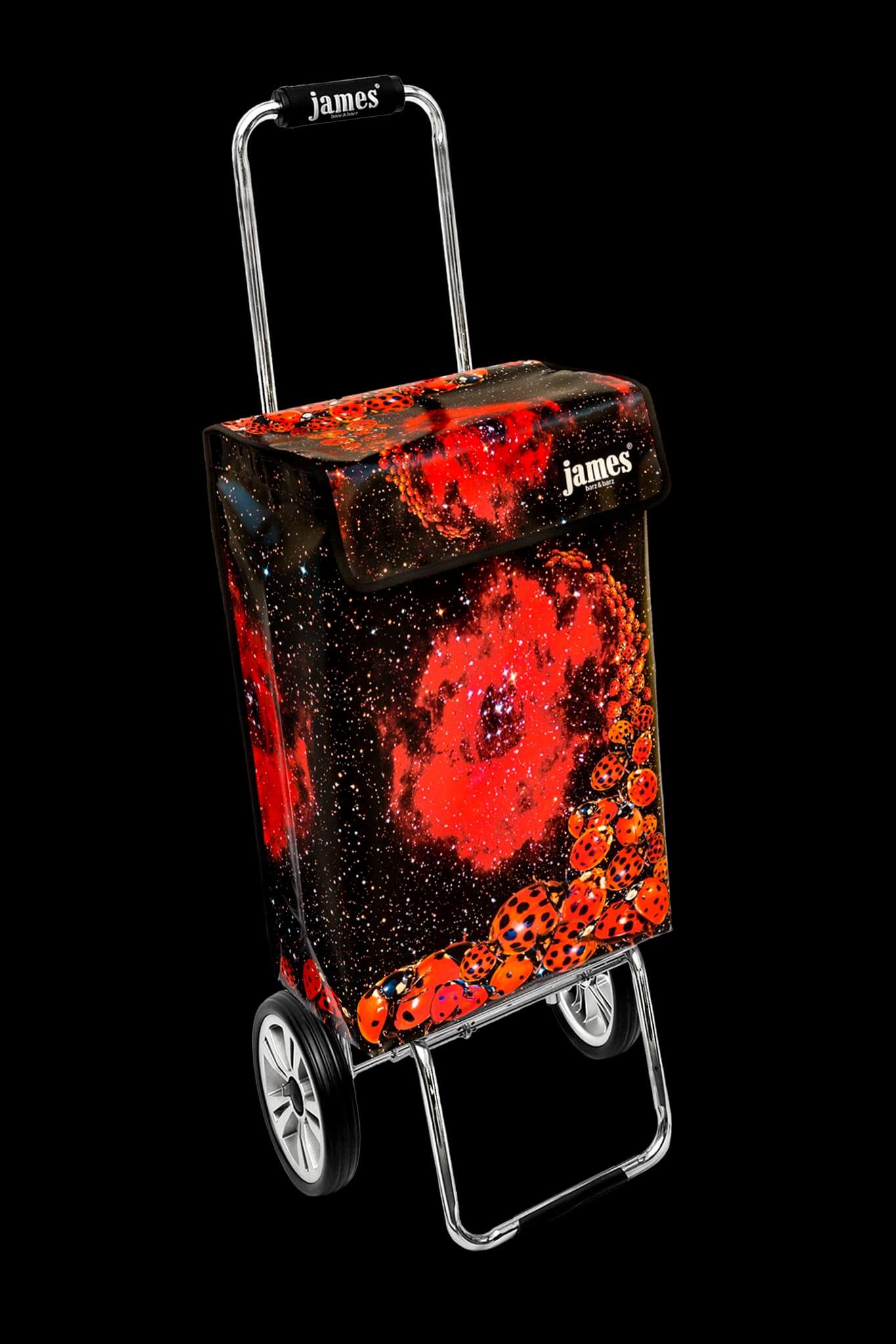 Ladybird-James®