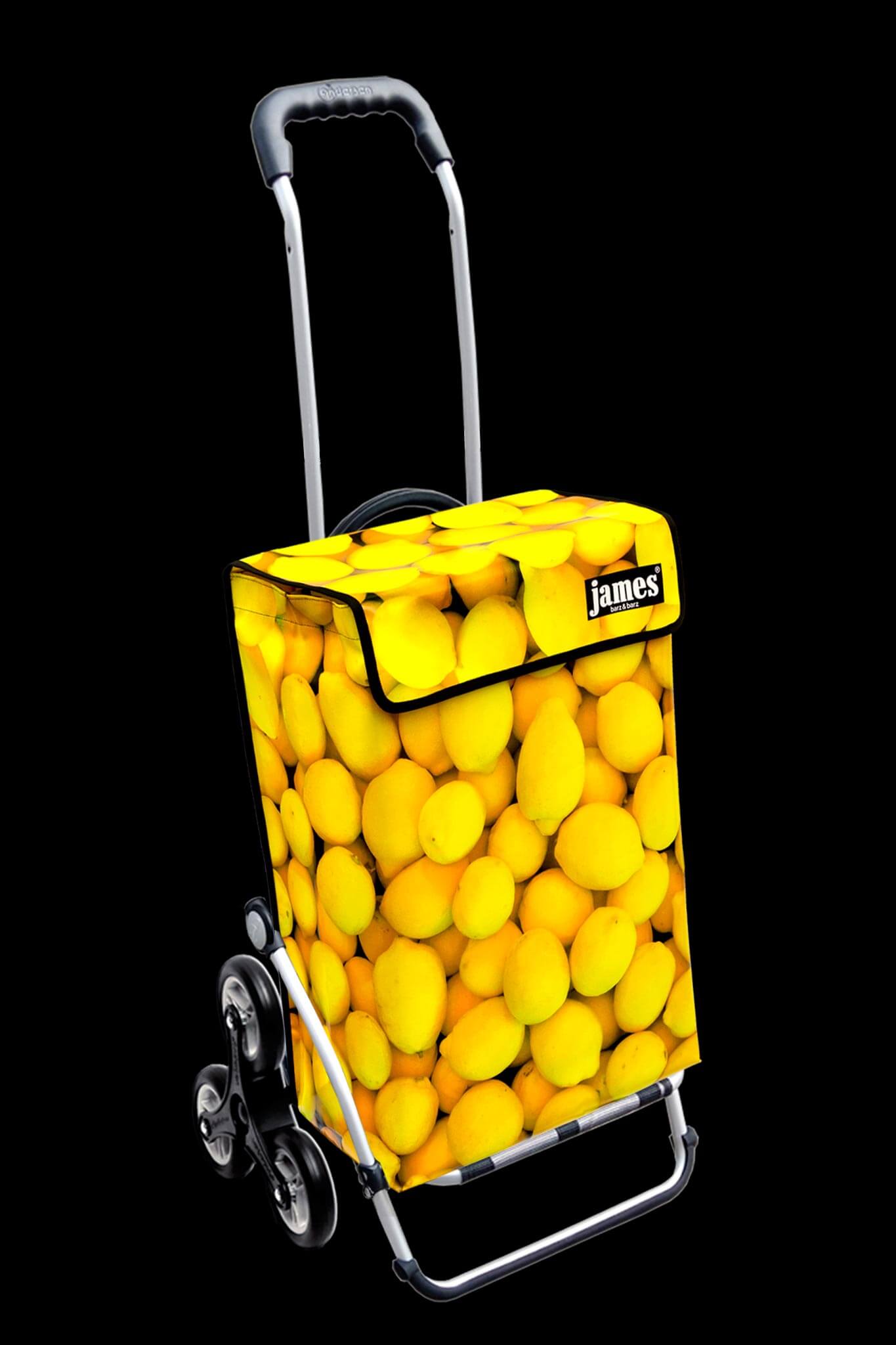  Royal Treppensteigerräder