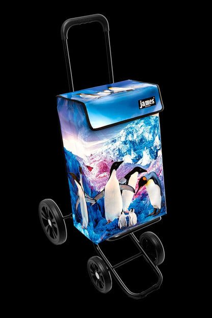 Pinguin-James®