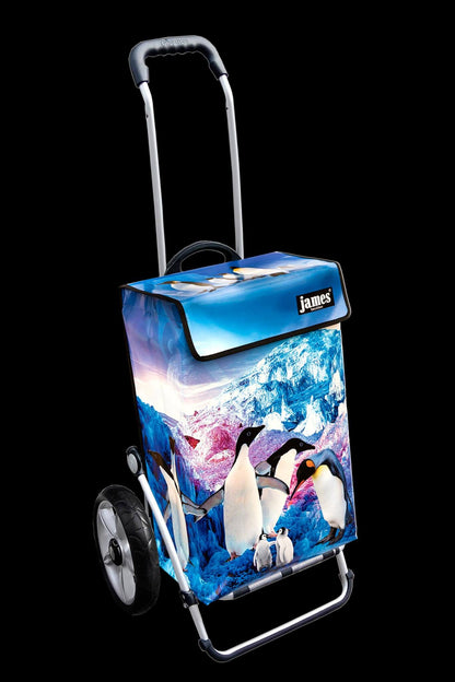Pinguin-James®